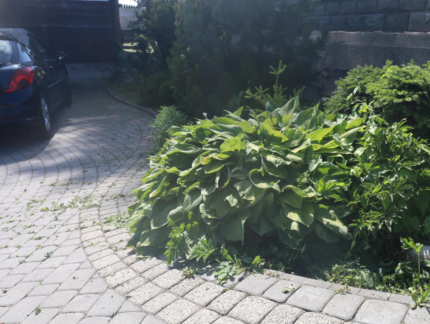 Smyrecek-Centrum Bukowiny Tatranská Bukovina Exteriér fotografie