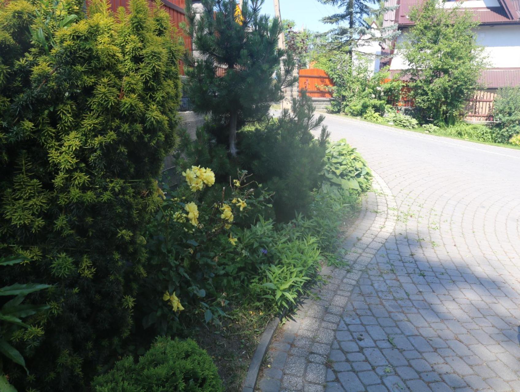 Smyrecek-Centrum Bukowiny Tatranská Bukovina Exteriér fotografie