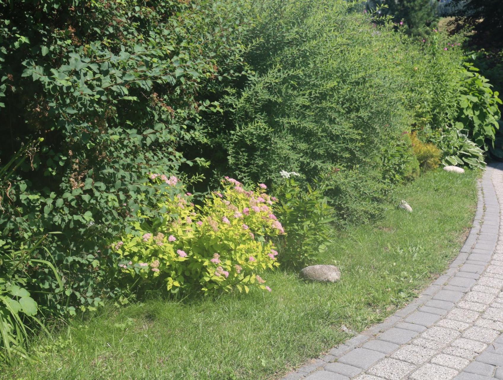 Smyrecek-Centrum Bukowiny Tatranská Bukovina Exteriér fotografie